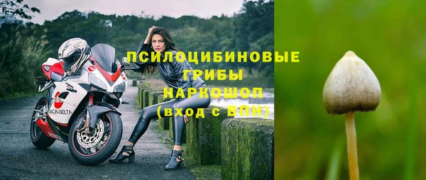 соль курить ск Дмитриев
